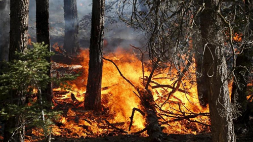 Dichiarazione stato massima pericolosità incendi boschivi